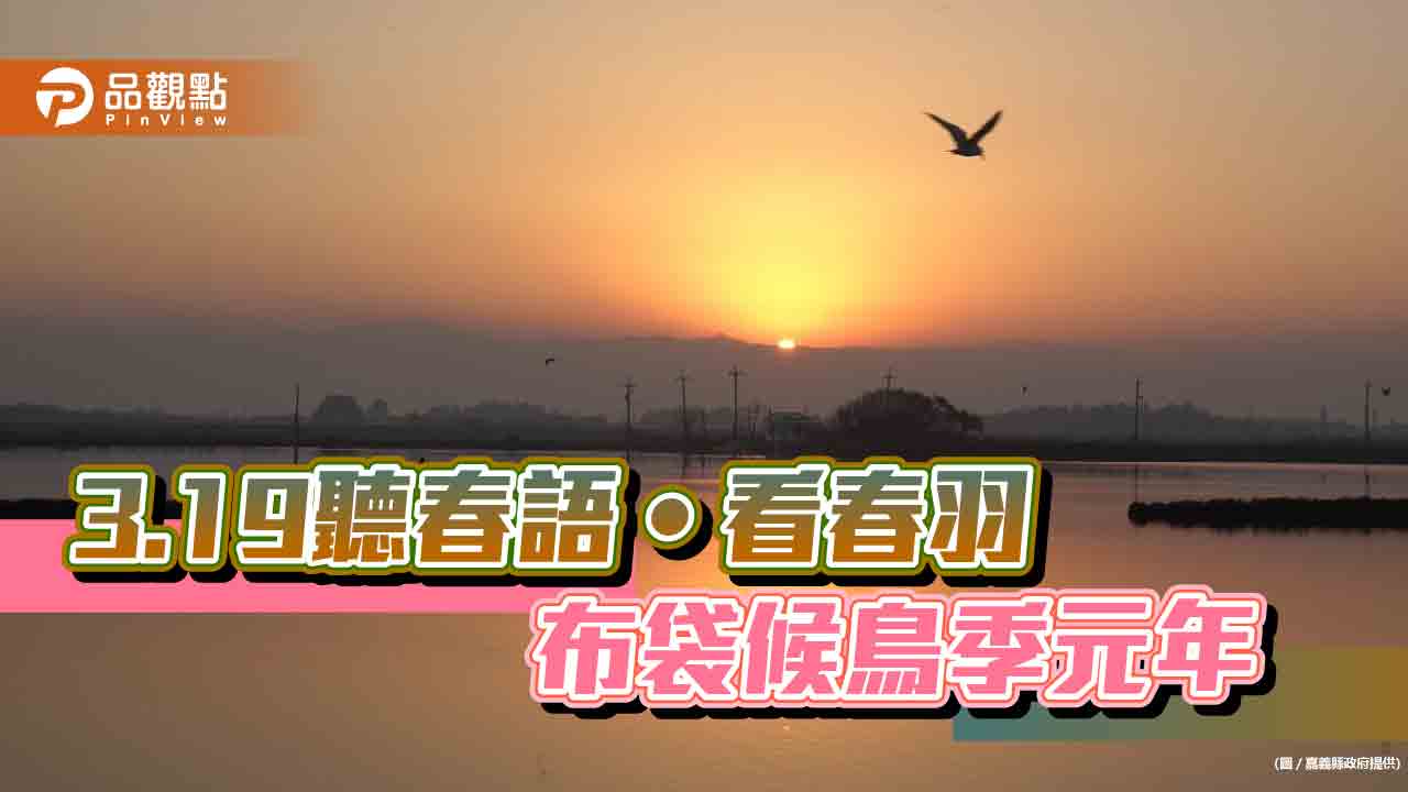 「布袋候鳥季元年」活動3/19開跑   打造西南沿海濕地旅遊熱點