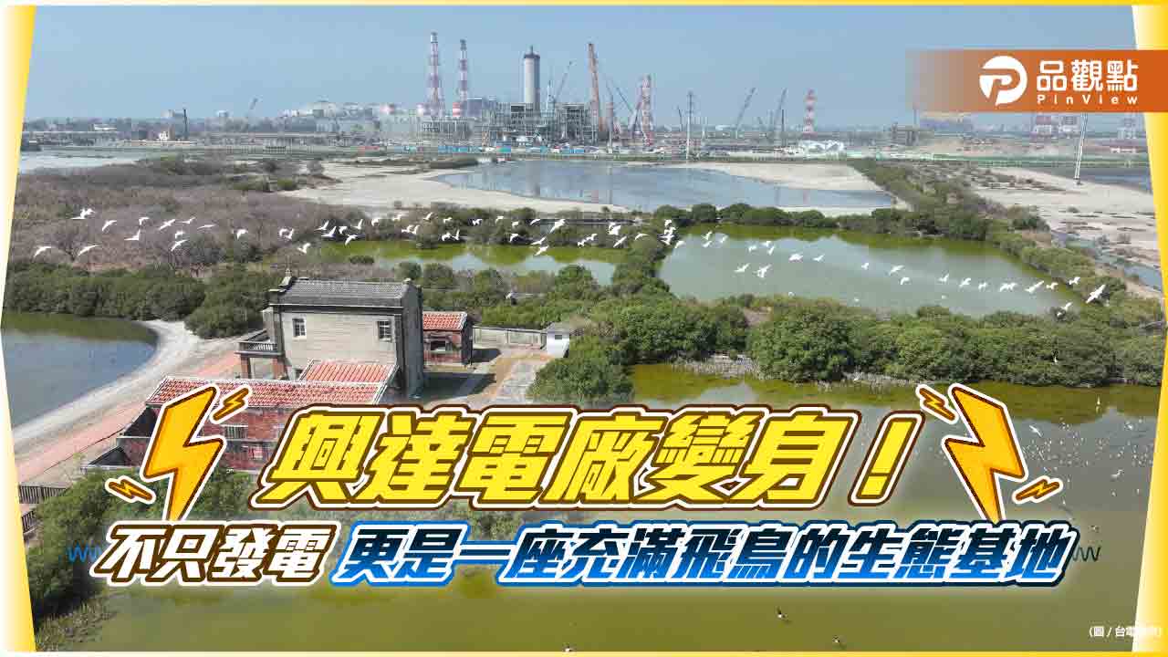 興達電廠化身「飛鳥電廠」！台電保留永安濕地　10多年保育成果揭密