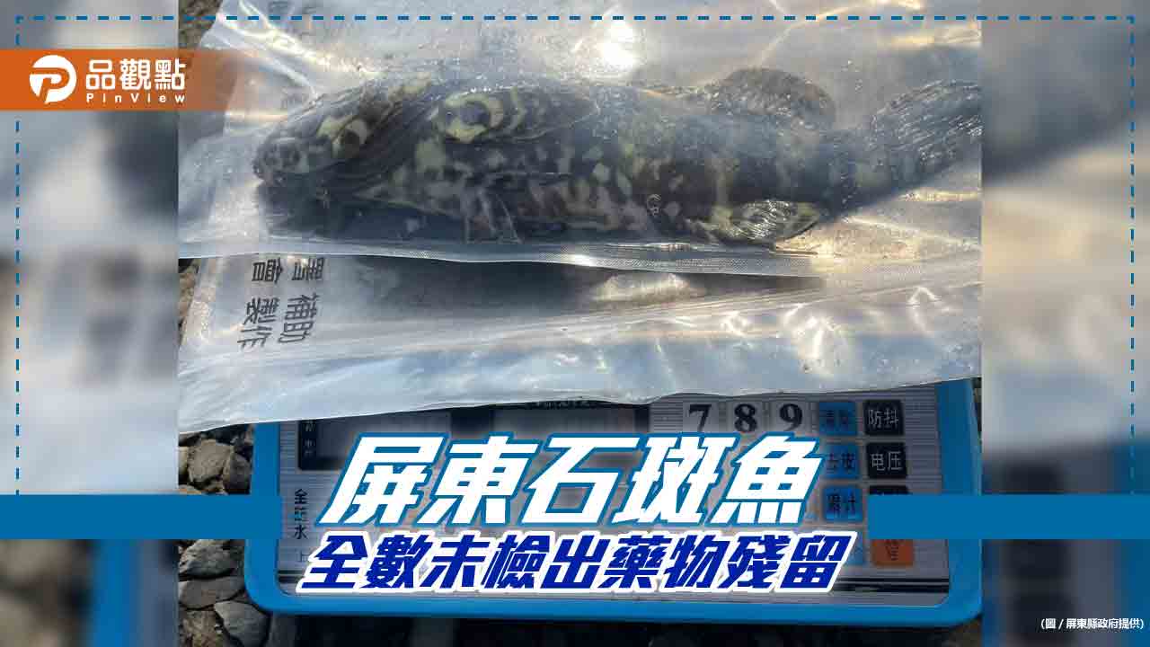 屏東石斑魚全數未檢出藥物殘留  消費者安心食用