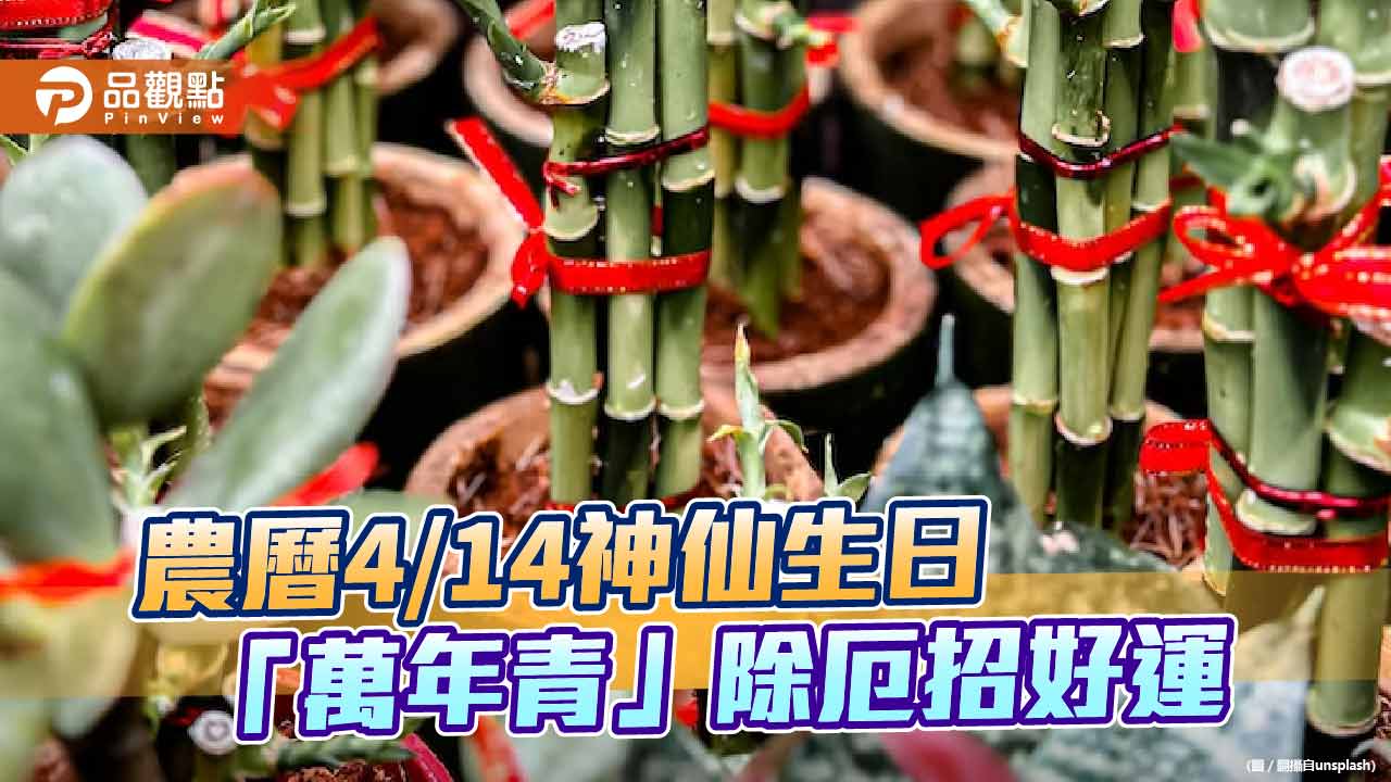 國曆6/1「神仙生日」，1招萬年青「交好運」，在家就能消厄祈福