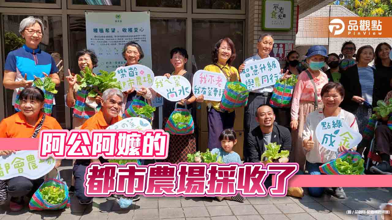 阿公阿嬤的都市農場採收  吳寶春教學蔬菜創意料理