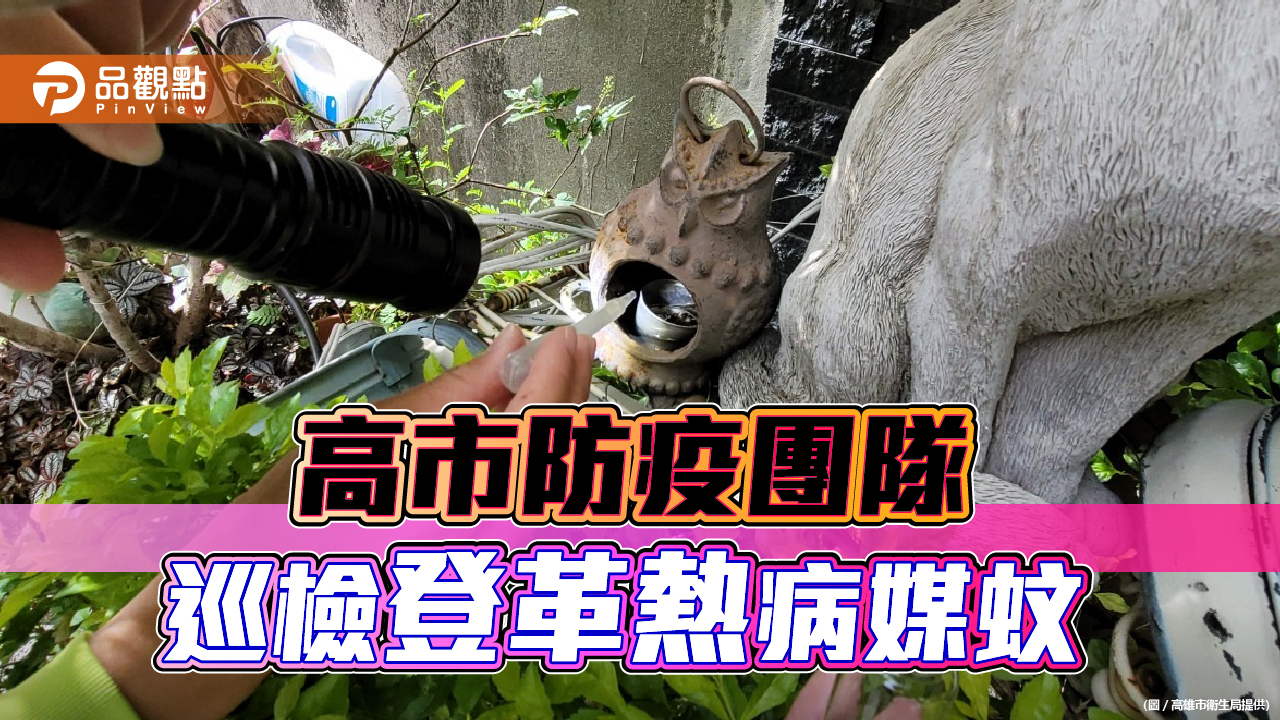 高雄市本土登革熱破300例  重症未及時就醫死亡率達50%