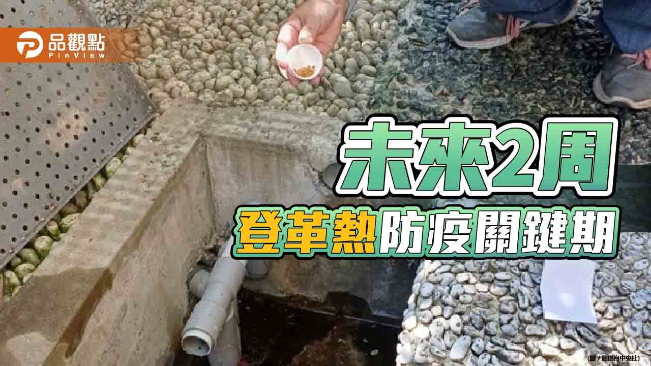 登革熱疫情嚴峻　急診病患暴增！醫師建議開設特別門診