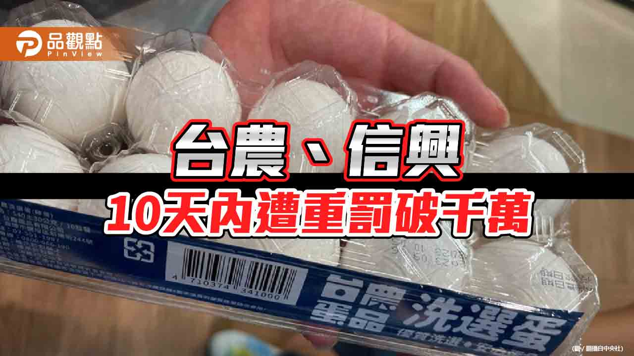 425萬顆進口蛋流向成謎　台農、信興再各吞400萬罰單送辦