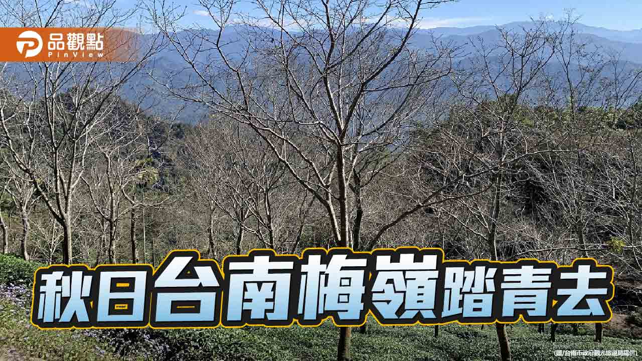 秋日踏青出遊台南梅嶺！賞花、賞景、賞螢、登頂皆宜