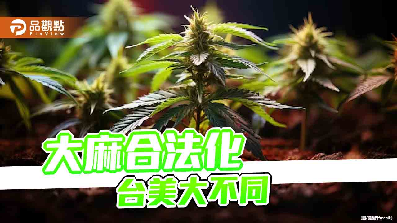 網紅持有吸食大麻遭逮引熱議　國教行動聯盟籲落實反毒教育、釐清