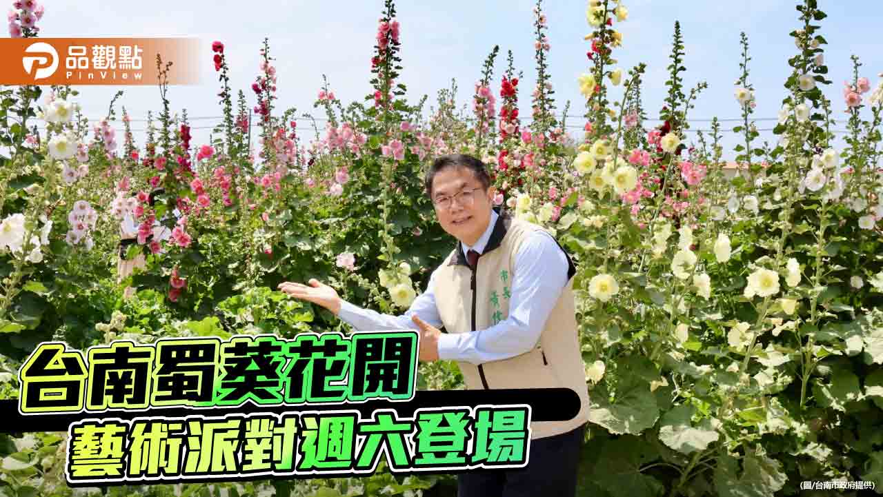 台南學甲蜀葵花文化節登場！週六開辦藝術派對