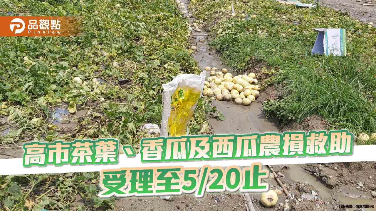 氣候不穩高雄茶葉、香瓜及西瓜受損  申請農損救助受理至5月20日止