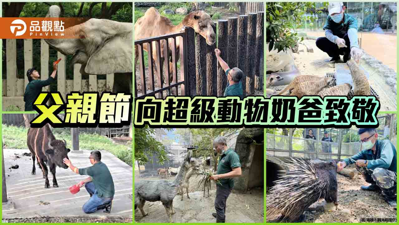 另類父親節 壽山動物園向超級動物奶爸致敬