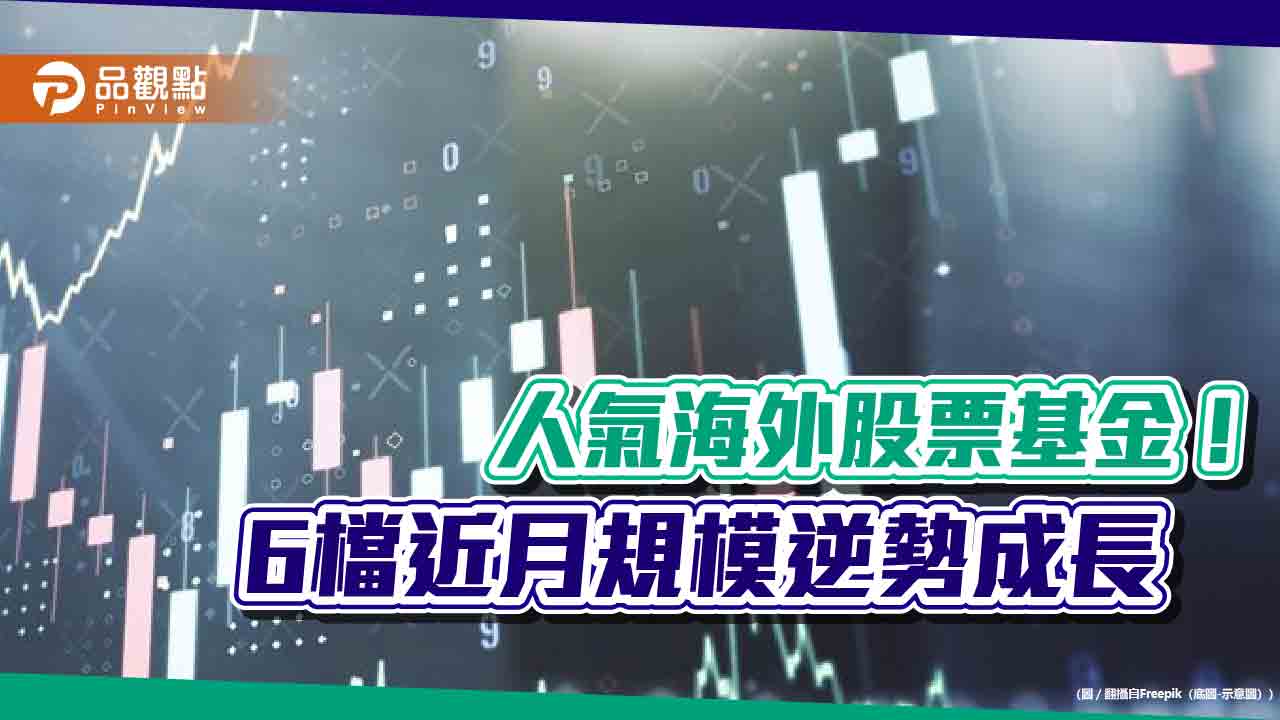 百億等級海外股票基金出列　醫療生化、印度、美股基金逆勢吸金！