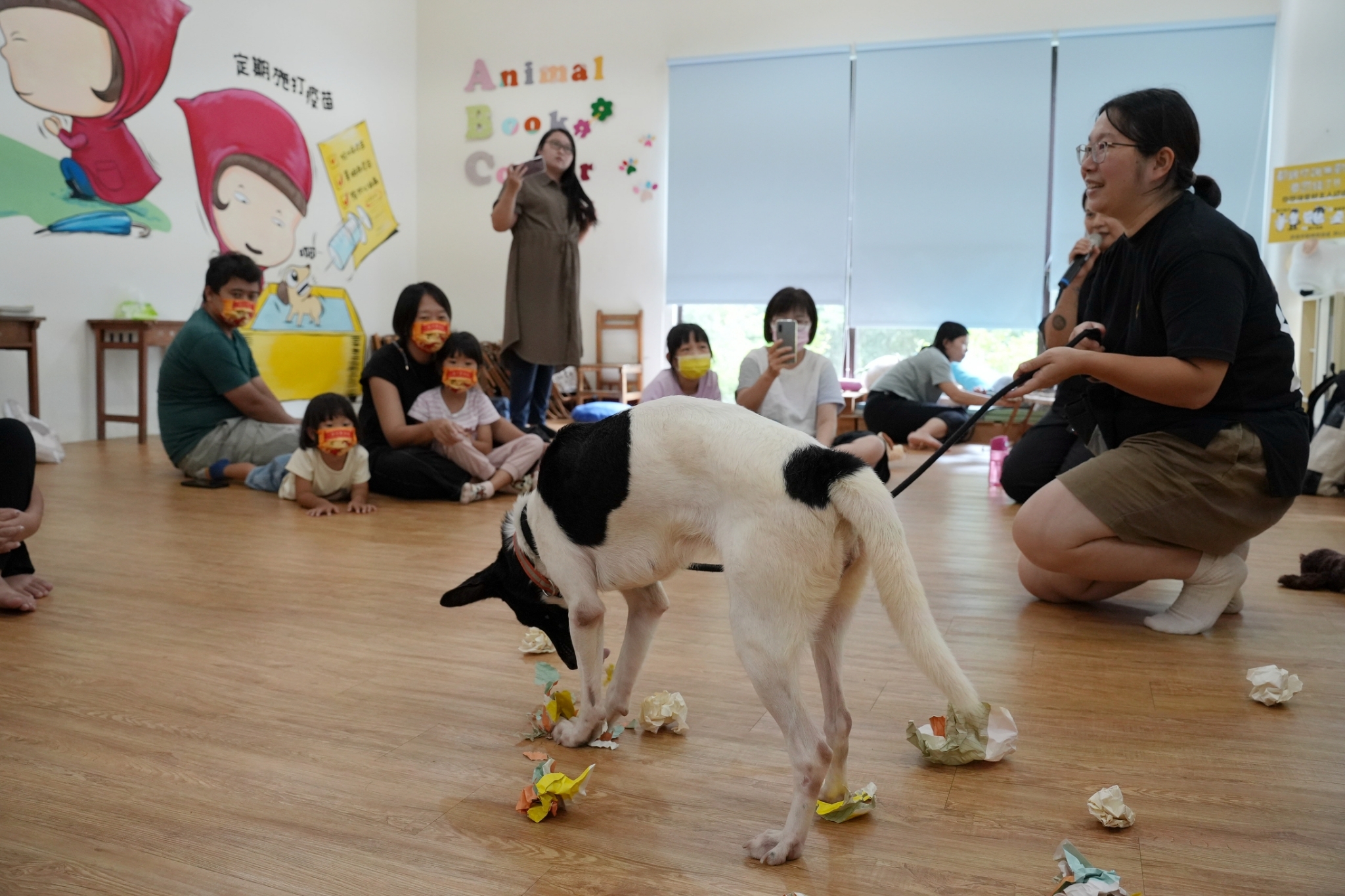 8/17國際流浪動物日 高市動保處動改造物關愛園區 推體驗課程