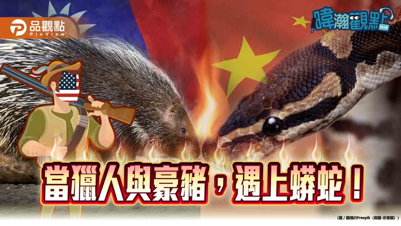 台海角力戰！黃暐瀚：當獵人與豪豬，遇上蟒蛇！