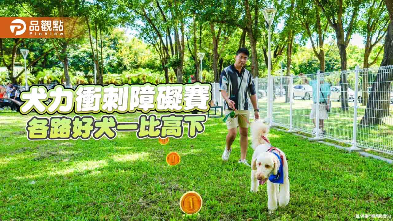 「2024好伴bàn毛孩嗷運會」精彩連連  犬力衝刺障礙賽即將登場