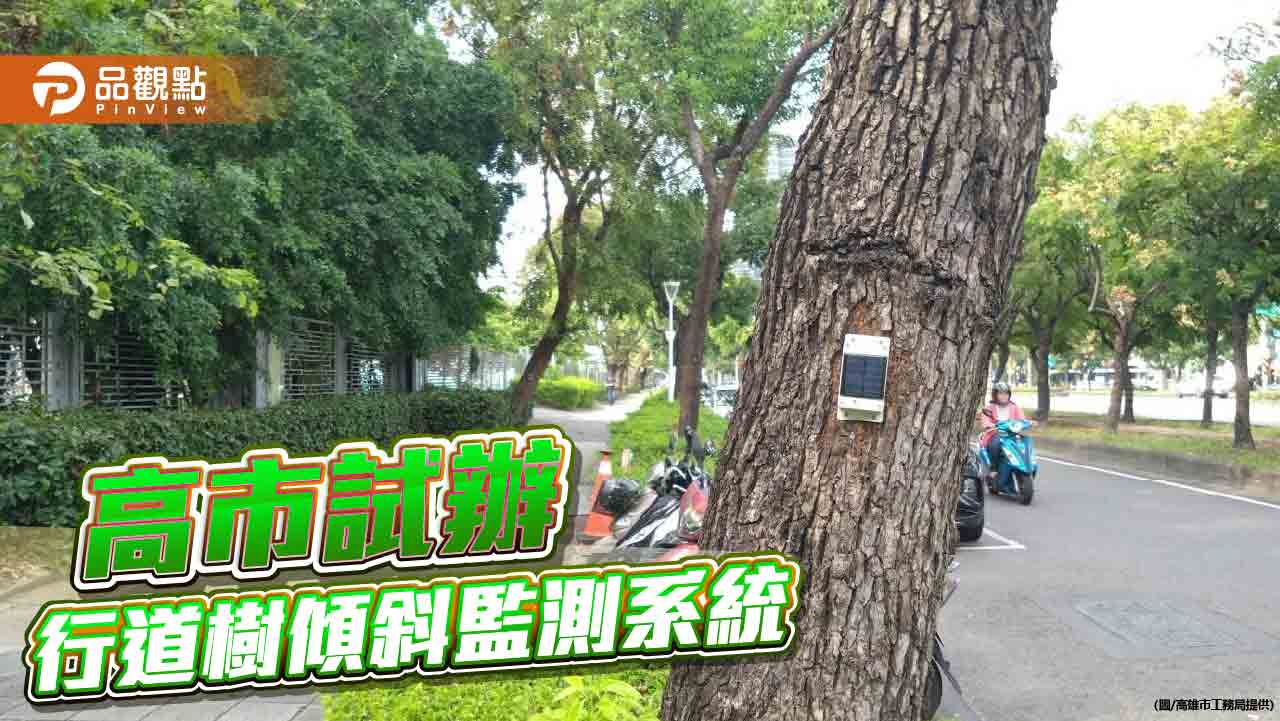 高市試辦行道樹傾斜監測系統  即時監控提前預警防止意外發生