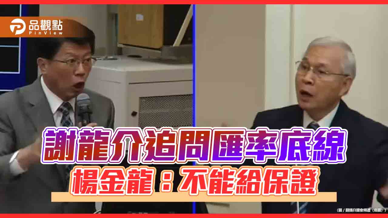 謝龍介追問匯率底線　楊金龍：不能給保證