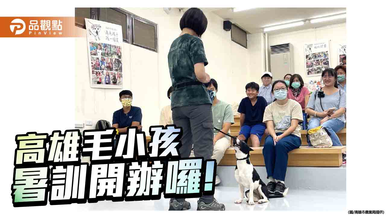 高雄動保處開辦暑期訓犬課程馬拉松　強化飼主責任打造友善毛孩生活