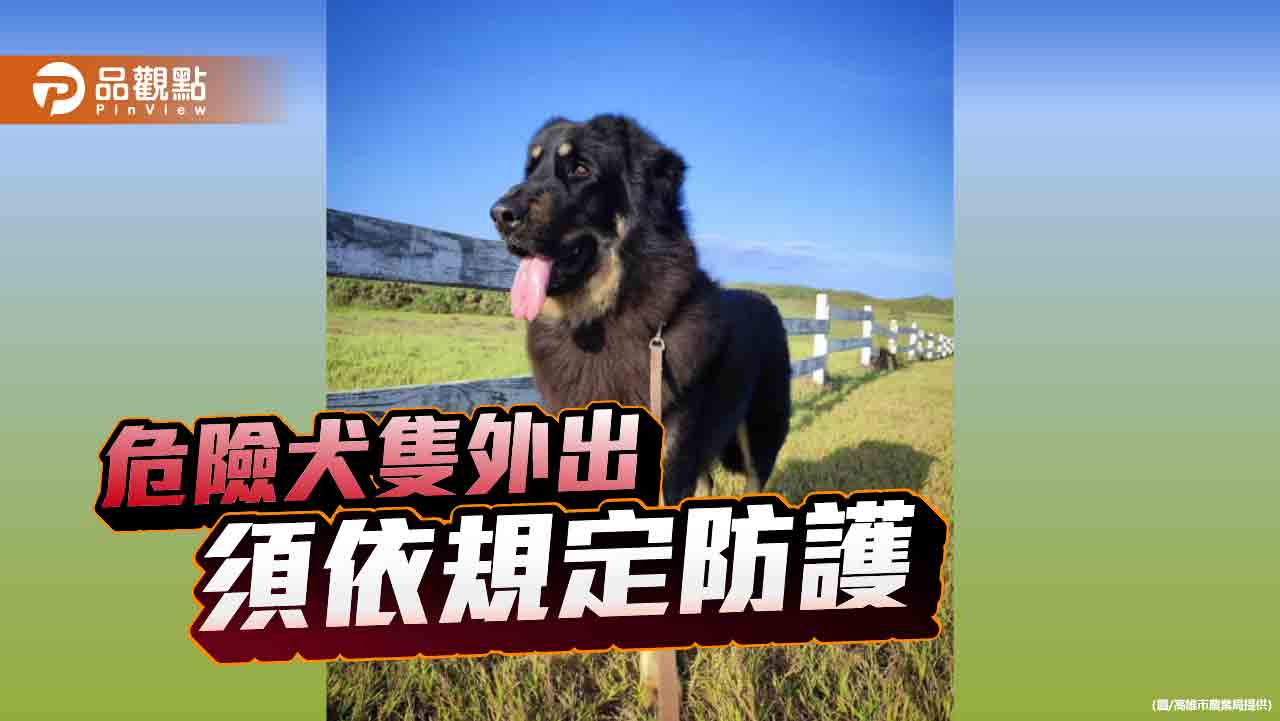 6大危險犬種及有攻擊紀錄犬隻  外出須依規定防護以免受罰