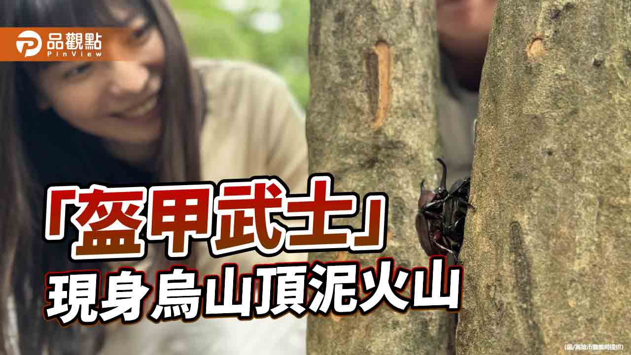 盔甲武士現身烏山頂　獨角仙與泥火山共譜地景生態之舞