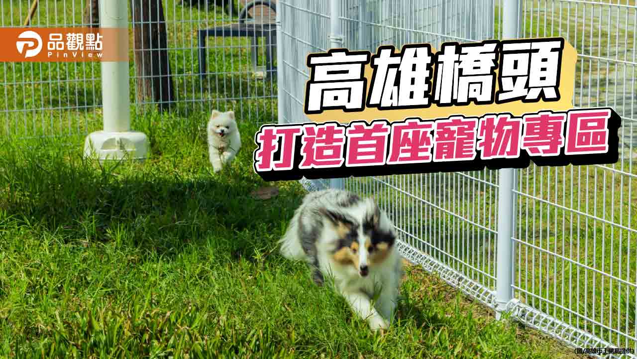 高雄橋頭首座寵物活動區啟用　打造毛孩專屬樂園