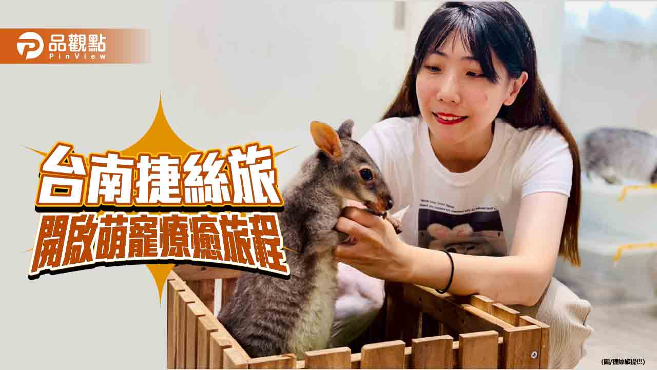 捷絲旅台南虎山館推「撸貓假期」 享萌寵療癒旅程