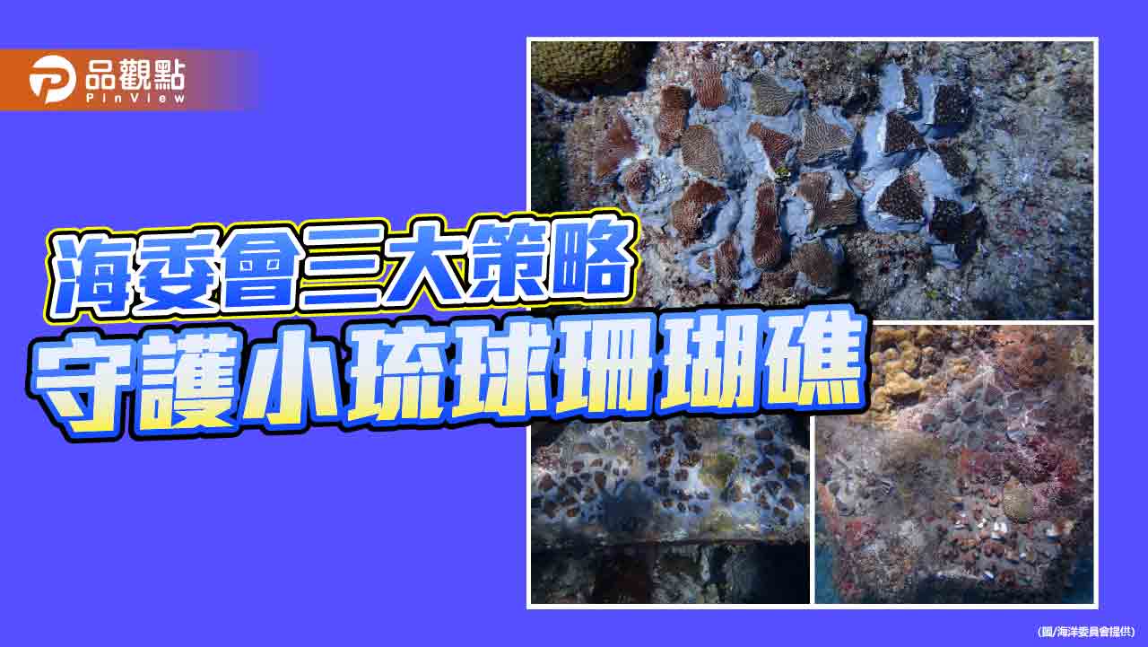 攜手大鵬灣守護小琉球珊瑚礁　海委會多管齊下推三大策略