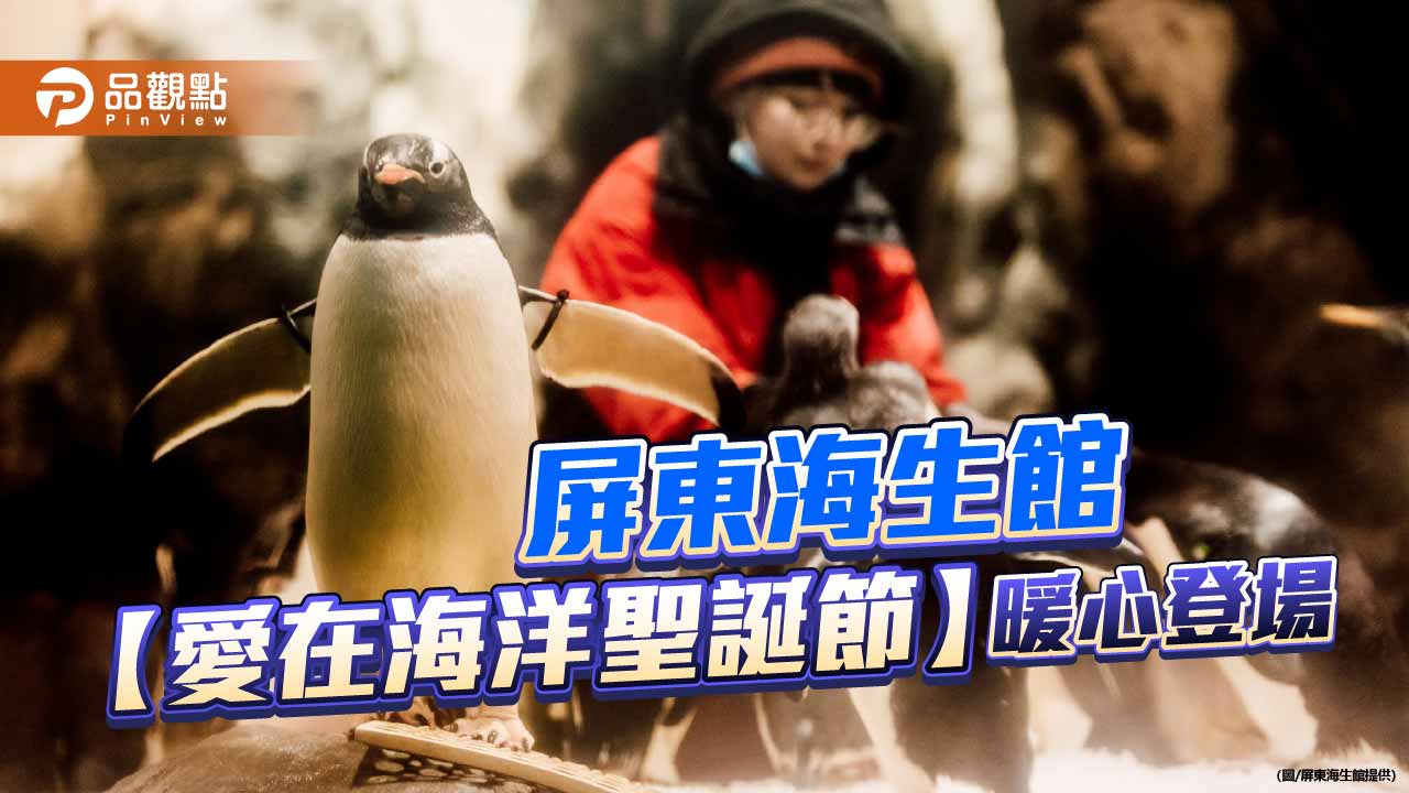 屏東海生館點亮冬日海洋　「愛在海洋聖誕節」暖心開展