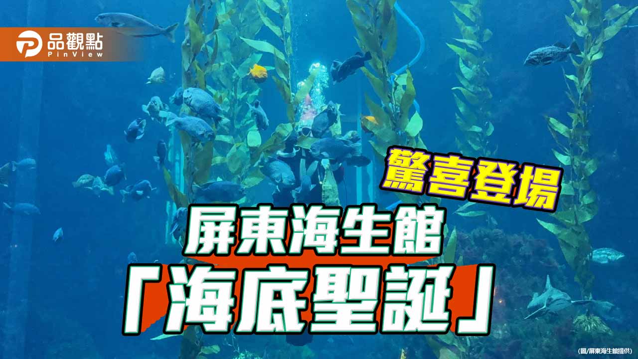 聖誕老人不走煙囪改潛水  屏東海生館打造深度冬季參觀體驗
