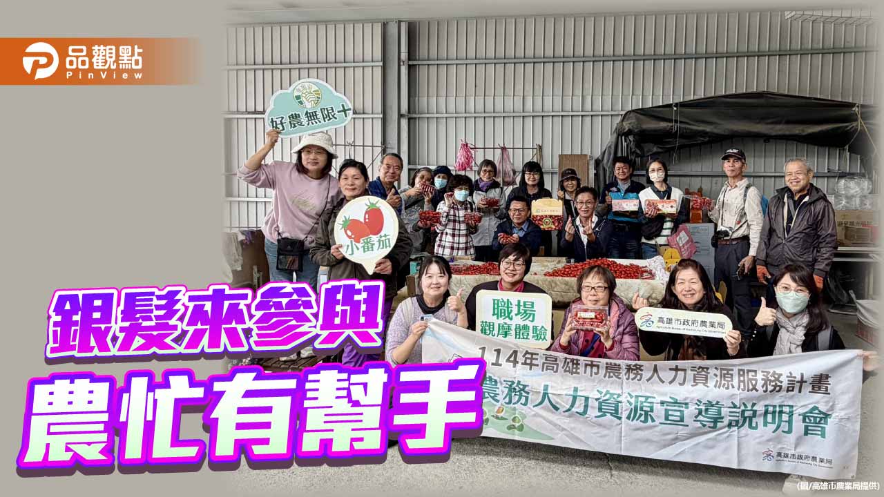 銀髮走入田間補人力　高市農業局媒合小番茄採收包裝