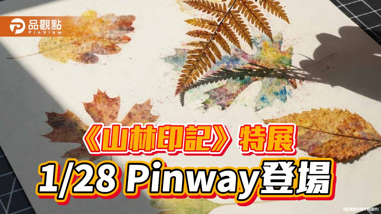 把柴山生態帶進青創基地 《山林印記》特展1/28Pinway登場