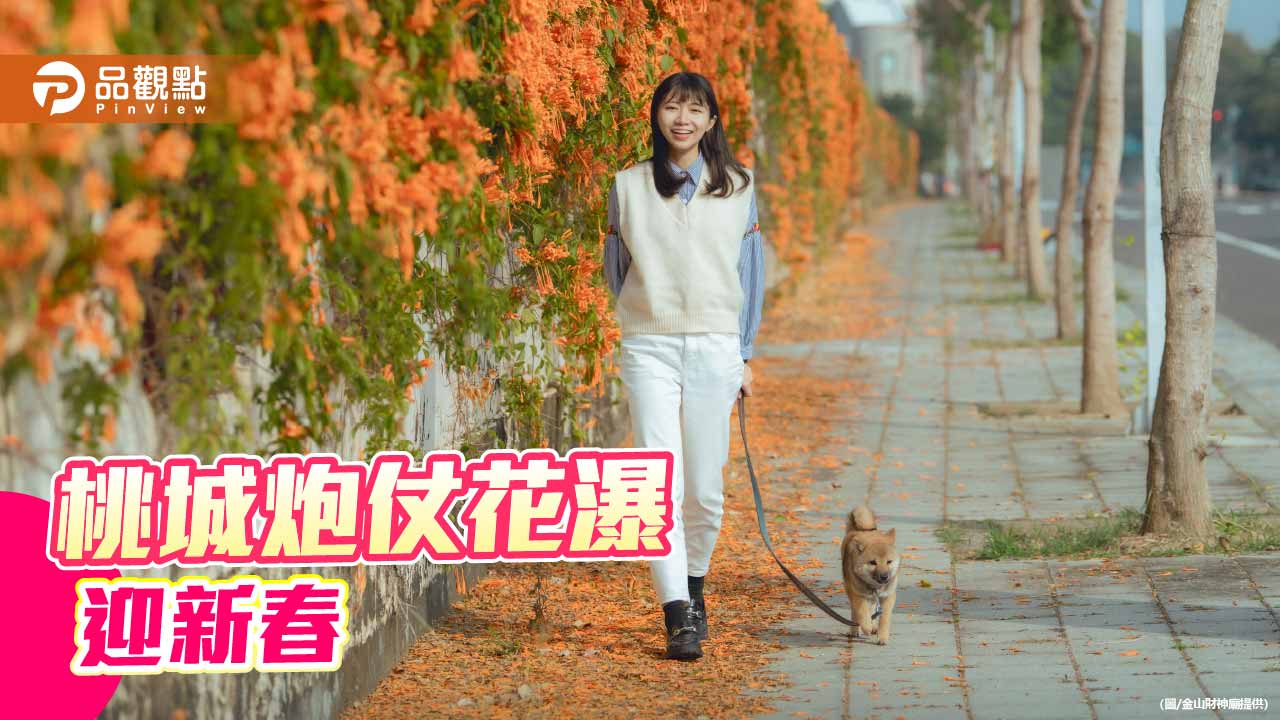 炮仗花瀑迎新春 嘉義市花季繽紛展開