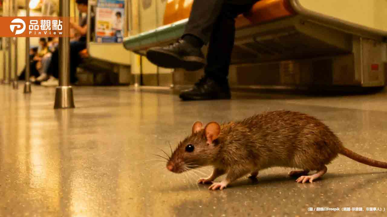 北市爆漢他首例死亡！北捷驚見「老鼠竄車廂」