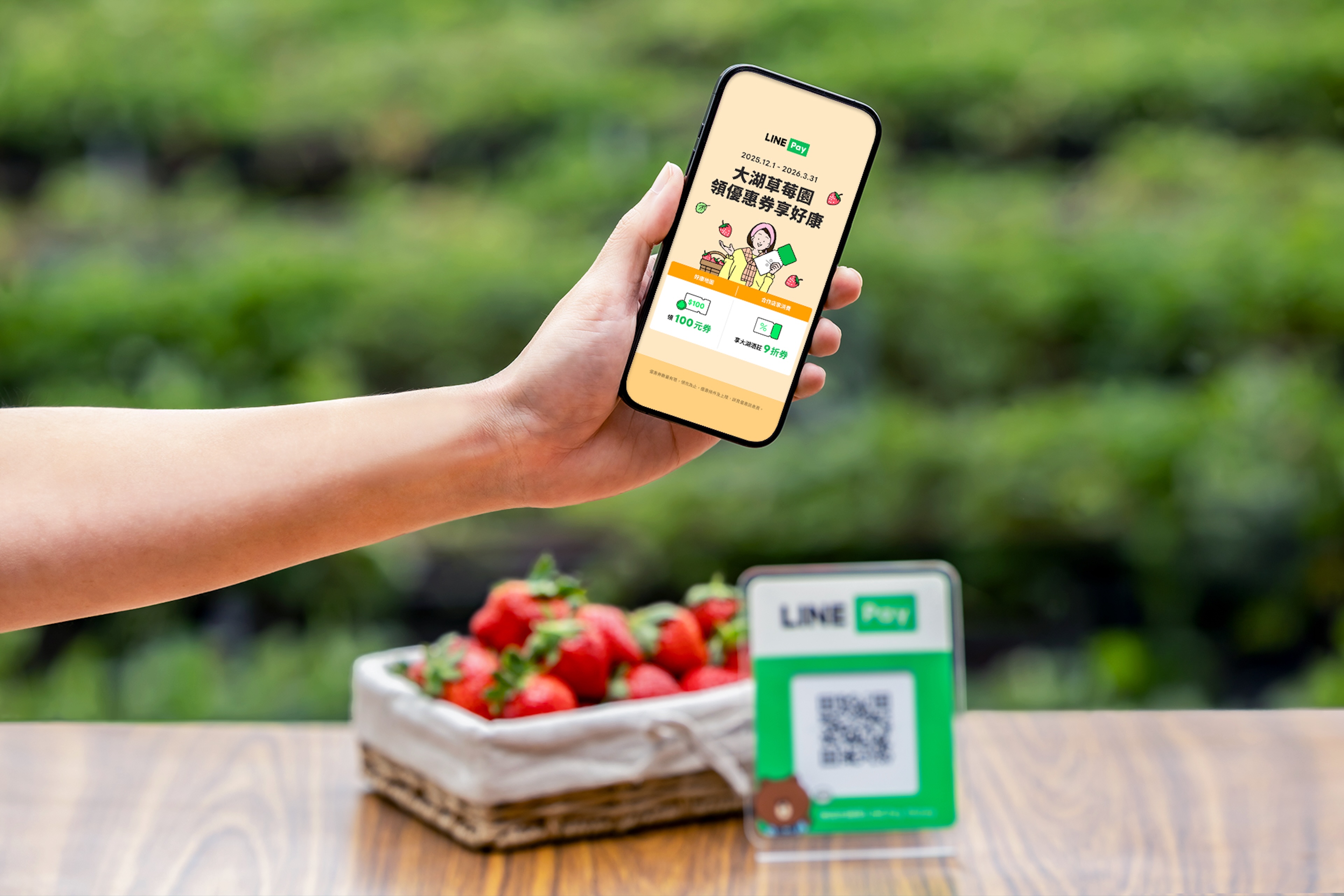 LINE Pay攜手苗栗大湖草莓園　已提升果園交易額成長15倍