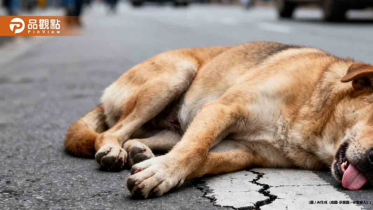 惡劣！男子酒後狂摔狗！雲林大黃狗5樓墜地內臟破裂命危
