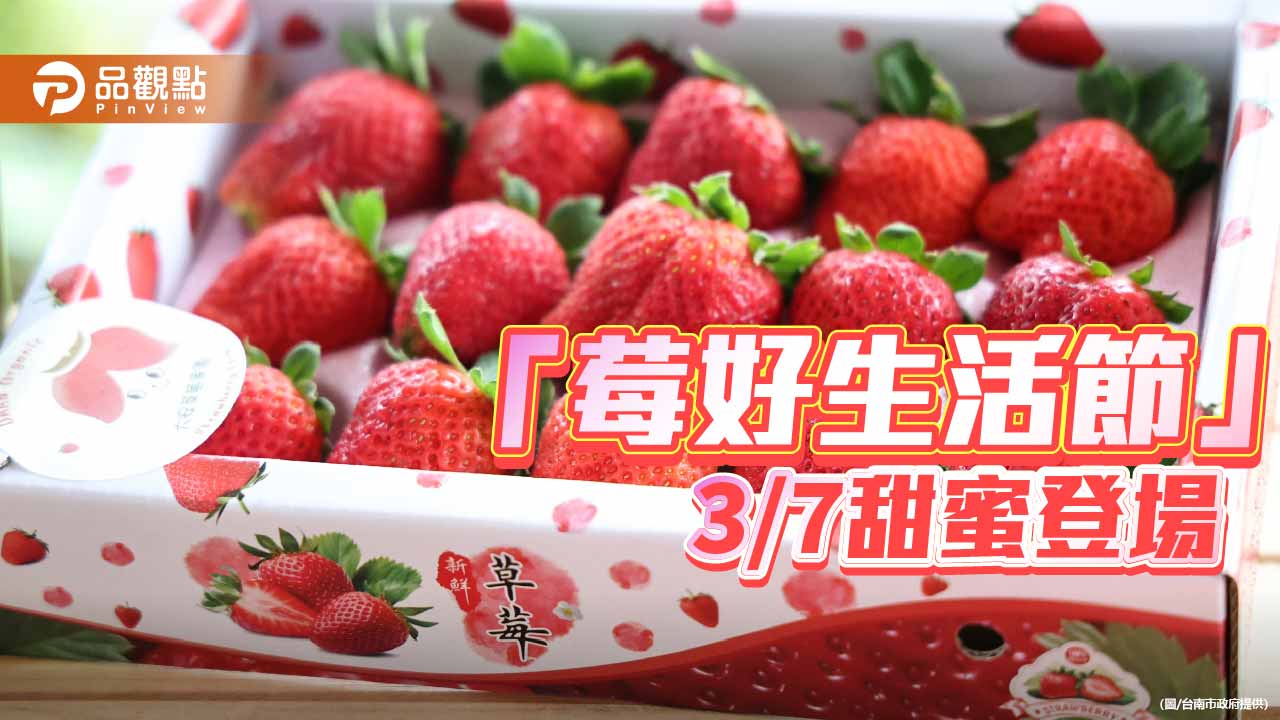善化草莓季3/7登場　「莓好生活節」邀民眾品味春日甜蜜時光