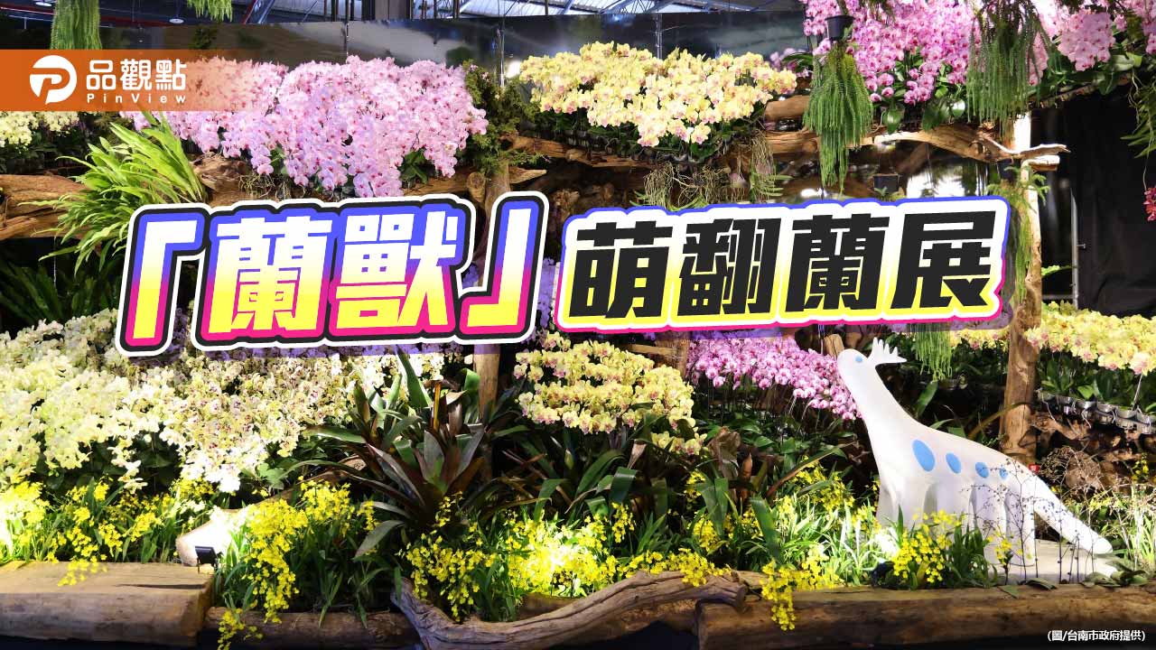 「蘭獸」掀收藏熱潮 成台灣國際蘭展人氣亮點
