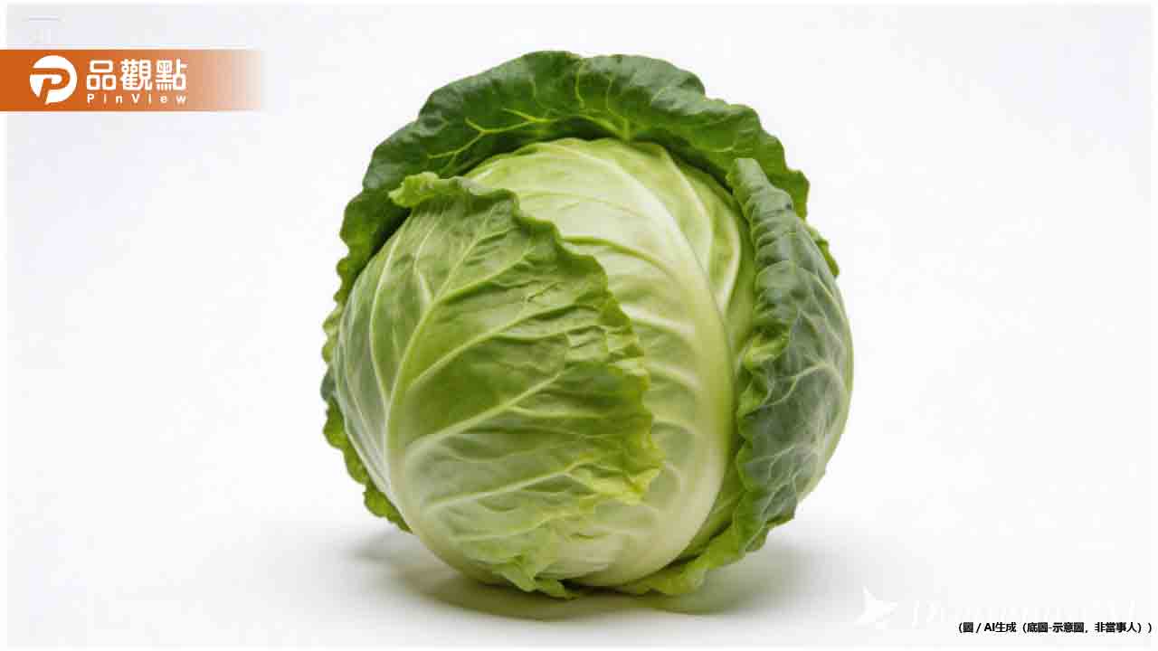 高麗菜這部位都被丟掉！營養師爆料：最營養就是它