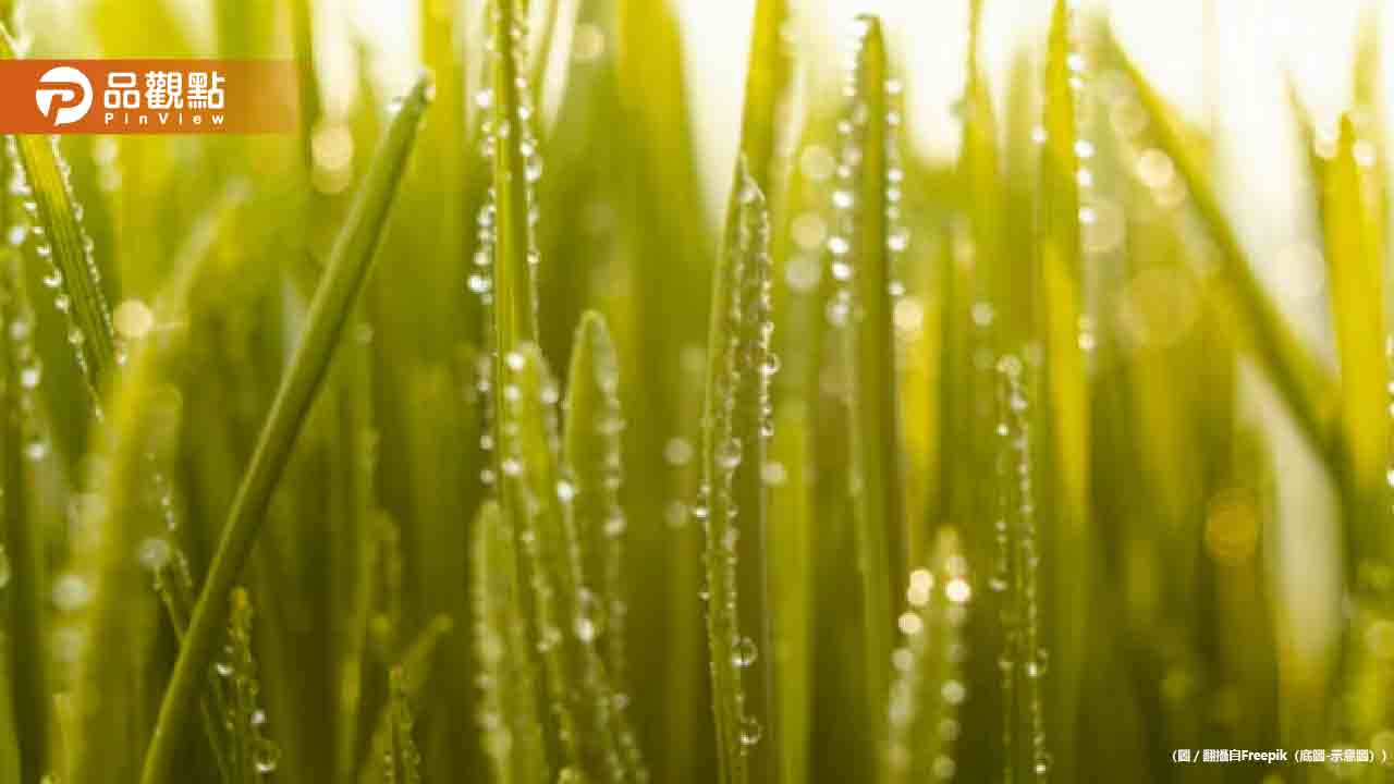 今「穀雨」財運爆發！5星座、5生肖馬上就要發財了