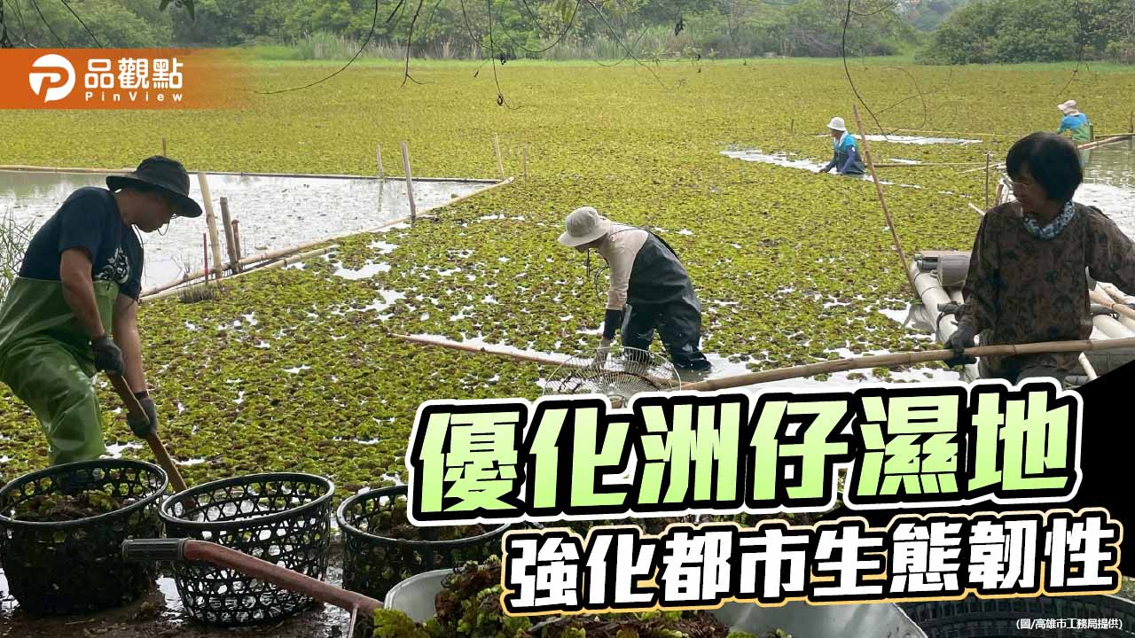 高雄攜手民間優化洲仔濕地棲地　打造都市生態保育典範